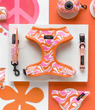 Cocopup London - 70's Swirl Harness - Nest Pets