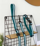 Poppy + Ted - Walk + Wear Teal Dog Collar - Nest Pets