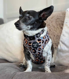 Hounds of Eden 'Steel Leopard' - Khaki/Grey Dog Harness - Nest Pets