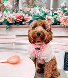 Cocopup London - Cupid Reversible Harness - Nest Pets