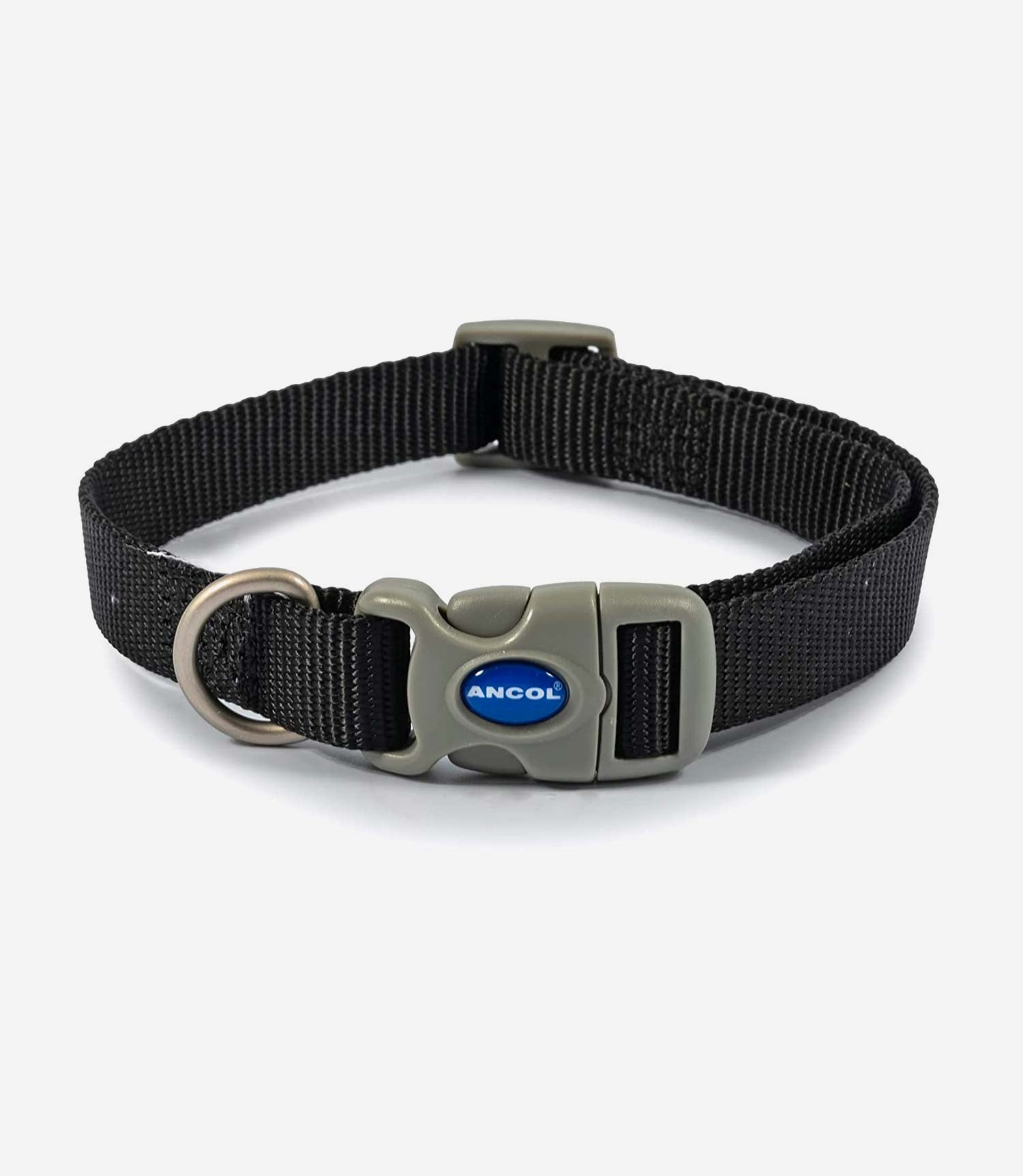 Ancol Viva Adjustable Dog Collar - Nest Pets