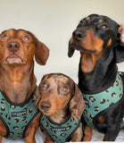 Cocopup London - Khaki Leopard Reversible Harness - Nest Pets