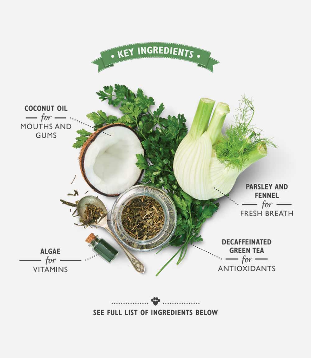 Lily's Kitchen Dog Woofbrush Dental Chew Dog Treats - Nest Pets