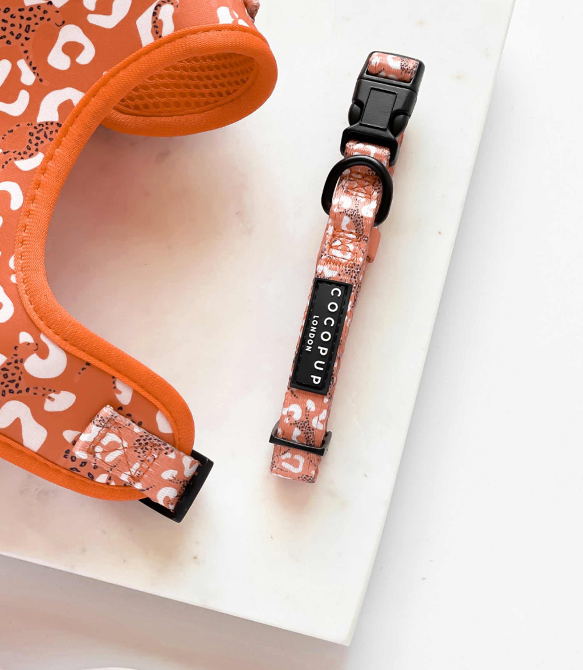 Cocopup London - Stay Wild Collar - Nest Pets