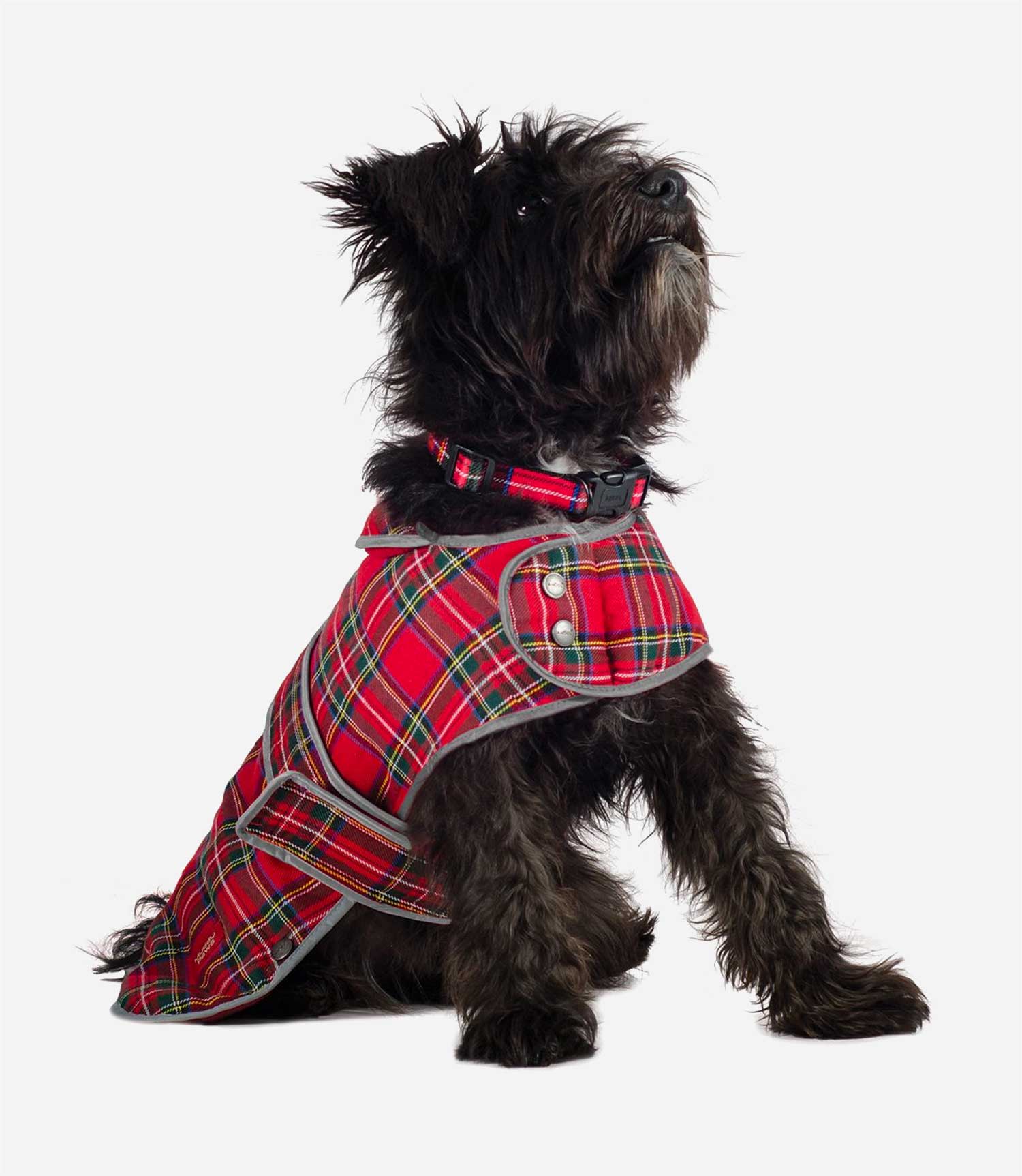 Ancol Highland Tartan Coat - Nest Pets