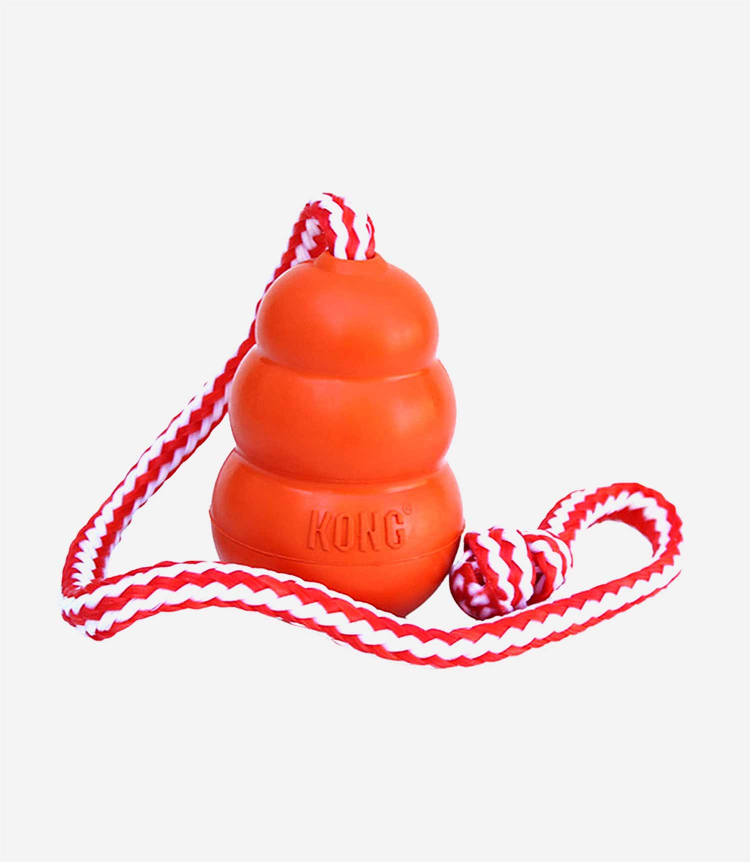 Kong Aqua Dog Toy - Nest Pets