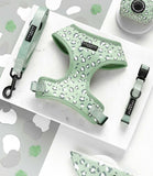 Cocopup London - Sage Leopard Collar - Nest Pets