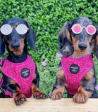Hounds of Eden 'Bella' - Pink Herringbone Dog Harness - Nest Pets