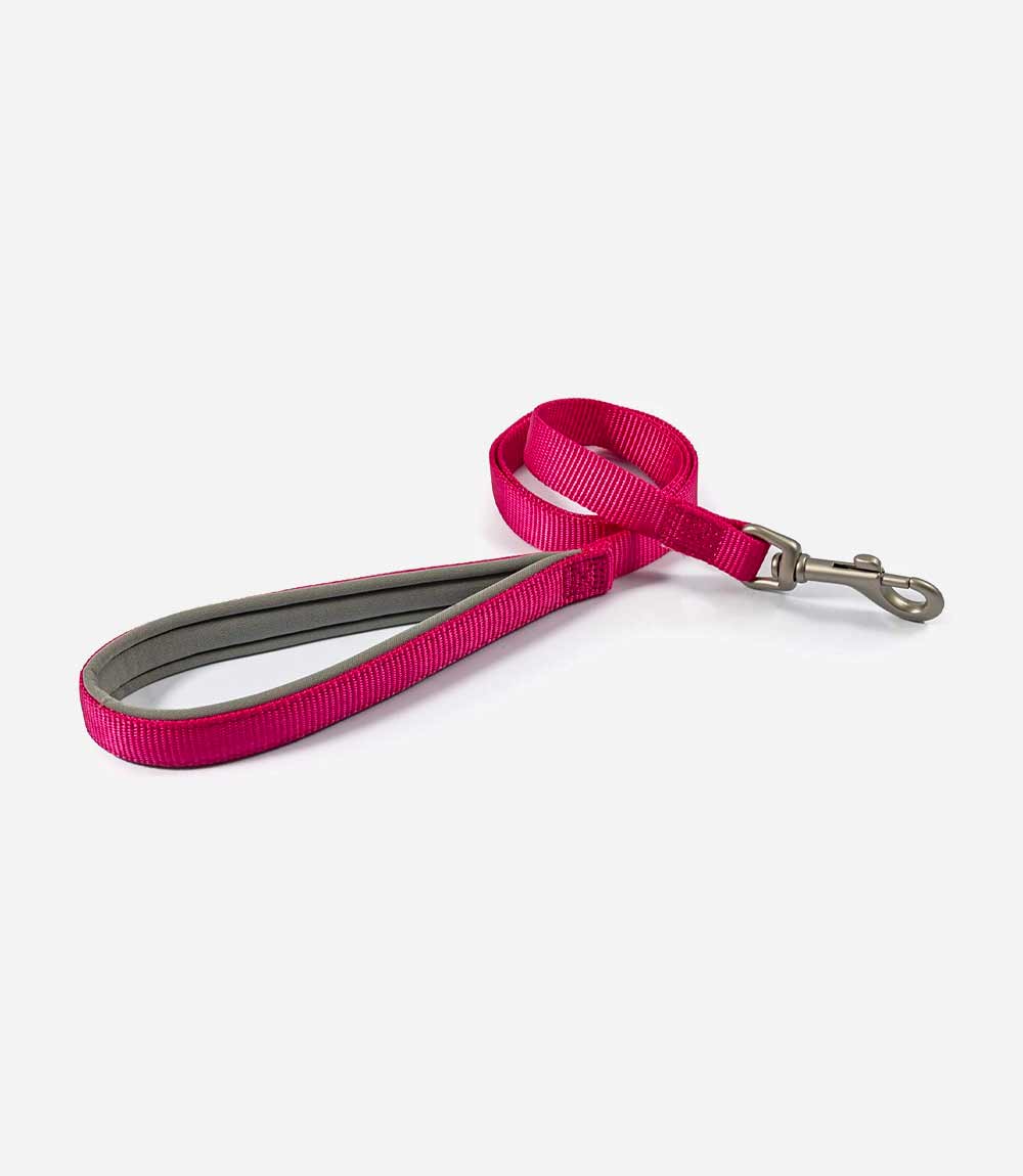Ancol Padded Nylon Dog Lead - Nest Pets