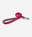 Ancol Padded Nylon Dog Lead - Nest Pets