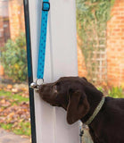 Company of Animals Clix Toilet Training Bells - Nest Pets