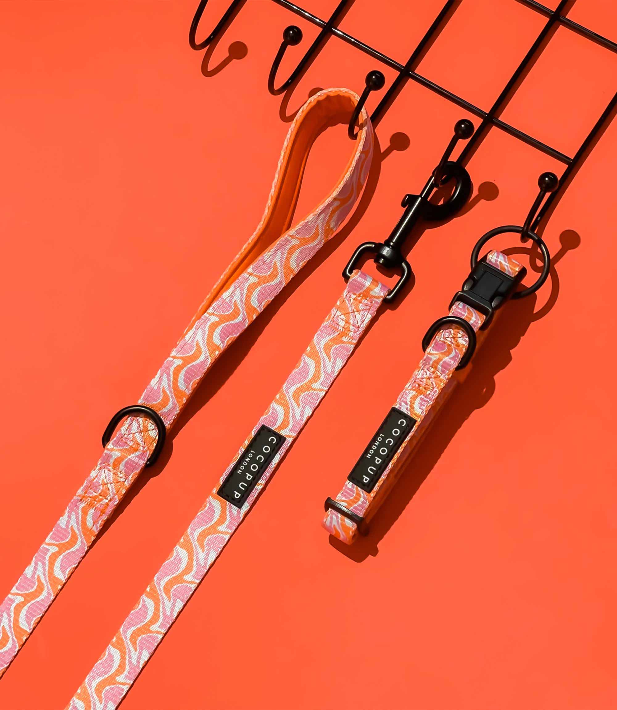 Cocopup London - 70's Swirl Collar - Nest Pets