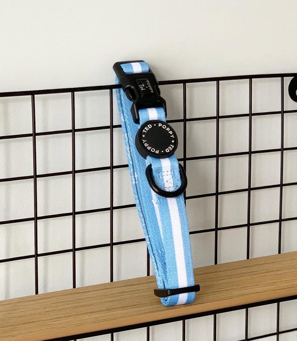 Poppy + Ted - Walk + Wear Cornflower Blue Dog Collar - Nest Pets