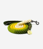 Hounds of Eden - Ombre Green & Yellow Cotton Rope Dog Lead - Nest Pets