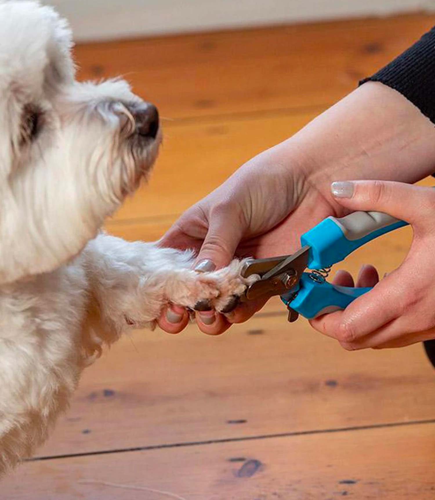 Ancol Ergo Nail Clipper - Nest Pets