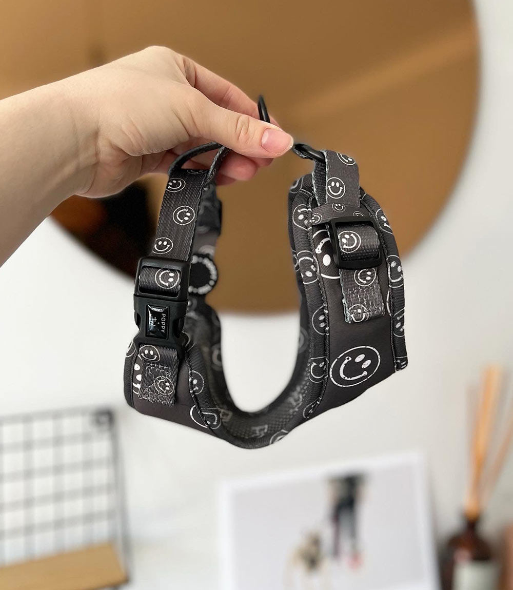 Poppy + Ted - Walk + Wear Happy Stamp Dog Harness - Nest Pets