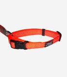 Sharples Walk 'R' Cise Reflecta 'A' Dog Collar - Nest Pets
