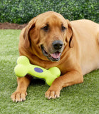 Kong AirDog Bone Dog Toy - Nest Pets
