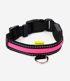 Walking Mate LED Dog Collar