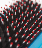 Ancol Ergo Hedgehog Slicker - Nest Pets