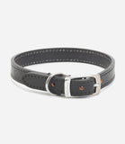 Ancol Leather Dog Collar - Nest Pets