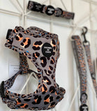 Hounds of Eden 'Steel Leopard' - Khaki/Grey Dog Collar - Nest Pets