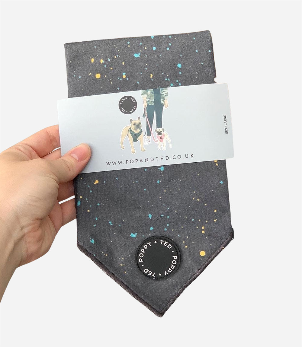 Poppy + Ted - Walk + Wear Gold Dust Dog Bandana - Nest Pets