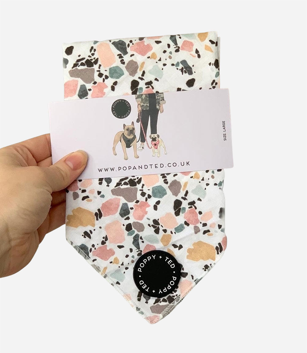 Poppy + Ted - Walk + Wear Party Pup Dog Bandana - Nest Pets