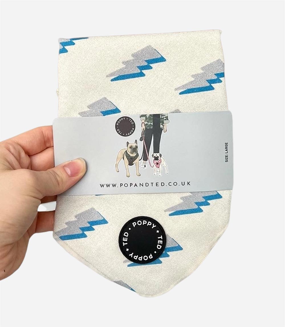Poppy + Ted - Walk + Wear Get Ziggy With It Dog Bandana - Nest Pets