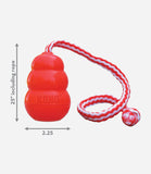 Kong Aqua Dog Toy - Nest Pets