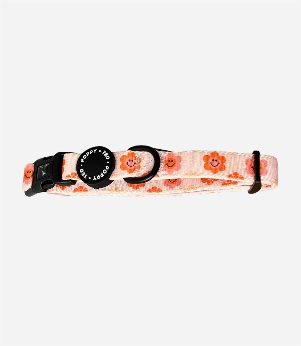 Poppy + Ted - Walk + Wear Flower Power Dog Collar - Nest Pets