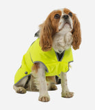 Ancol Stormguard Coat Hivis