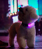Walking Mate LED Dog Collar - Nest Pets
