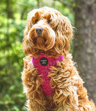 Hounds of Eden 'Bella' - Pink Herringbone Dog Harness - Nest Pets