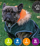 Ancol Green Parka Coat - Nest Pets