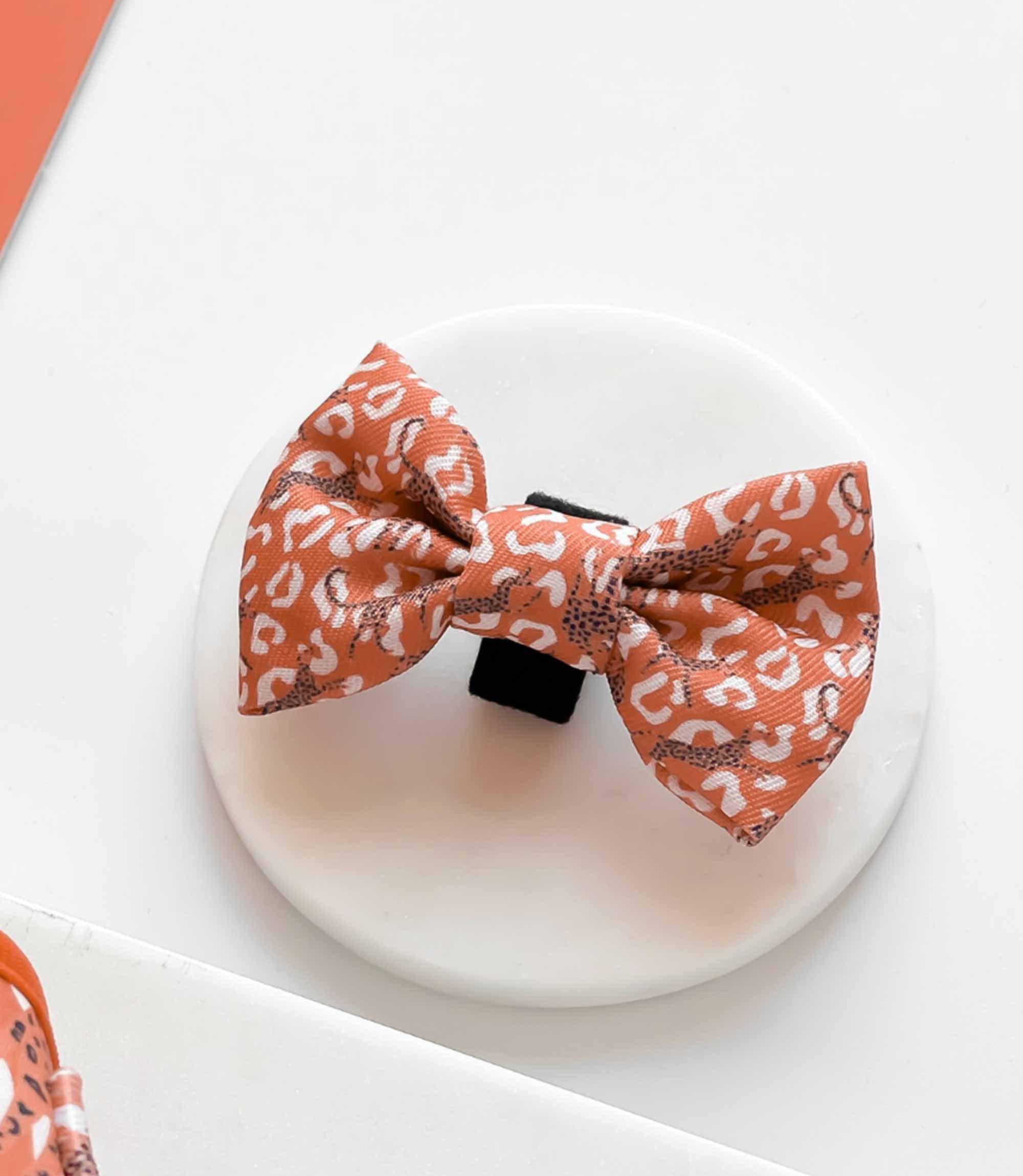 Cocopup London - Stay Wild Bow Tie - Nest Pets