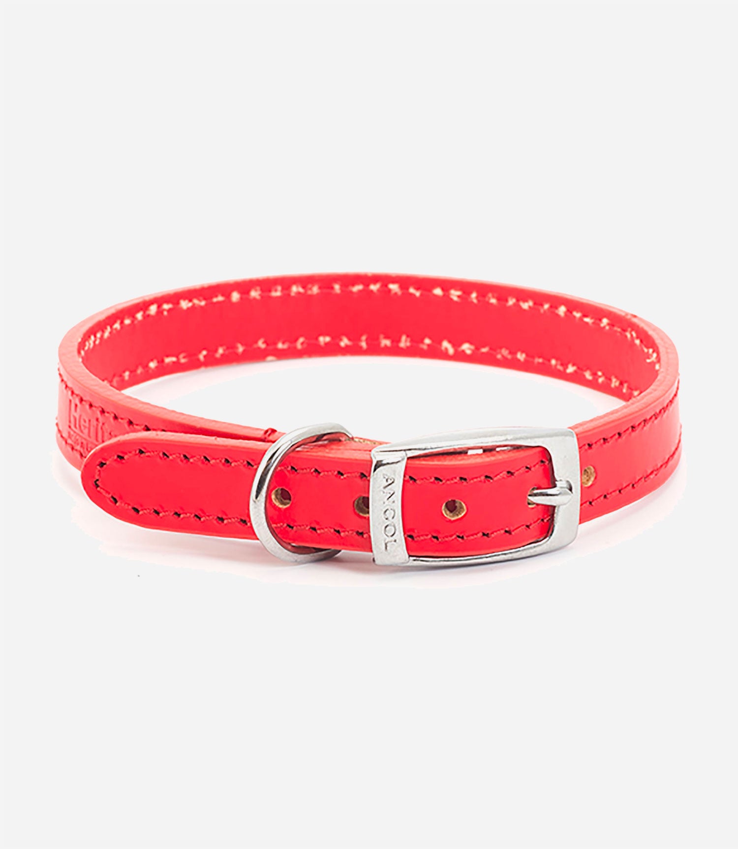 Ancol Leather Dog Collar - Nest Pets