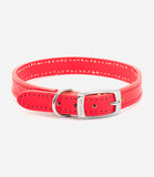 Ancol Leather Dog Collar - Nest Pets