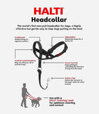 Halti Head Dog Collar - Nest Pets