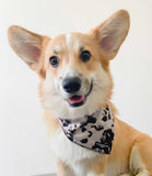 Cocopup London - Ivory Tort Bandana - Nest Pets