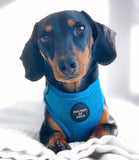 Hounds of Eden 'Bruce' - Blue & Teal Herringbone Dog Harness - Nest Pets