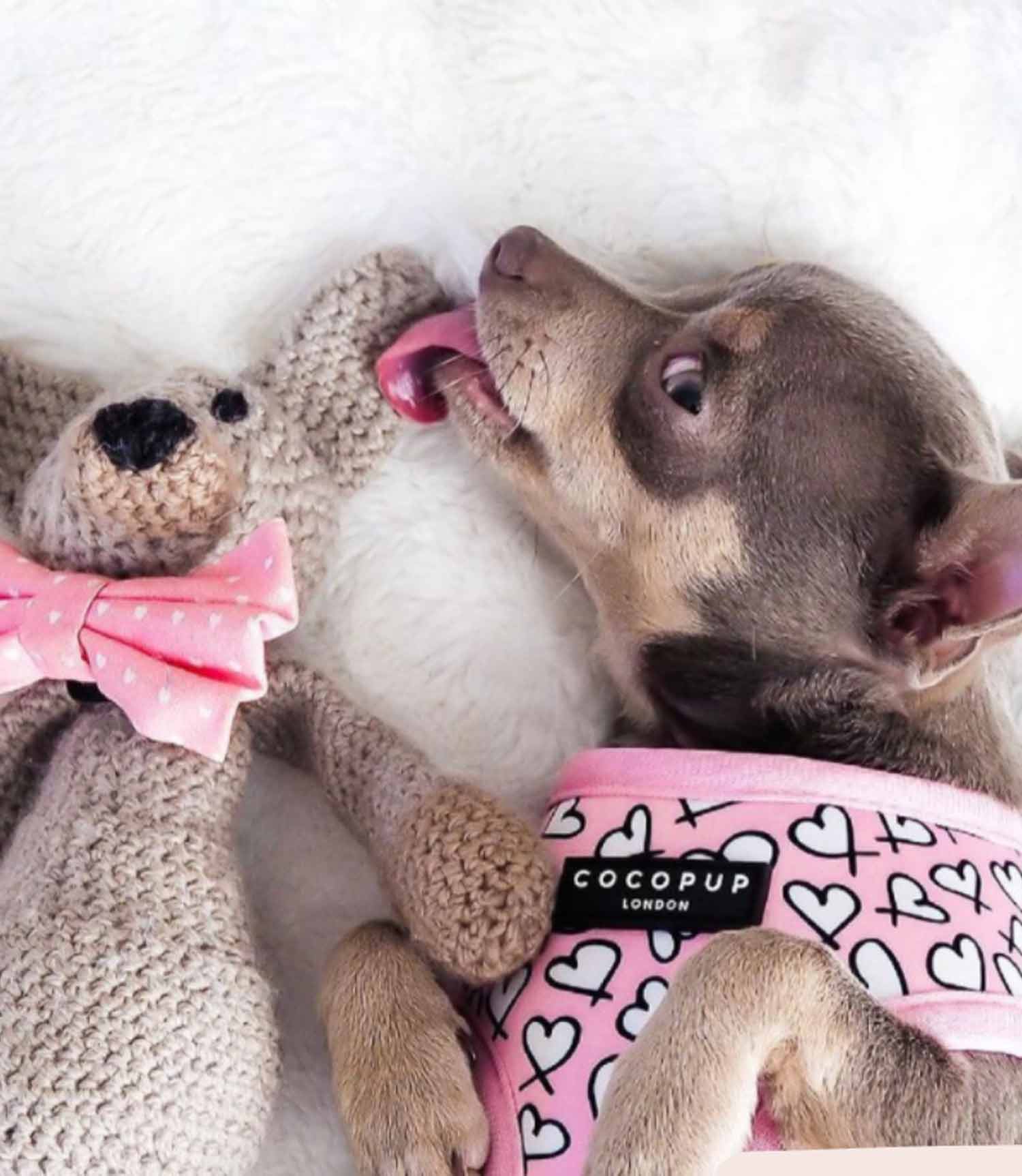 Cocopup London - Cupid Reversible Harness - Nest Pets