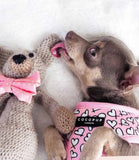 Cocopup London - Cupid Reversible Harness - Nest Pets