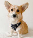 Cocopup London - Midnight Tiger Harness - Nest Pets