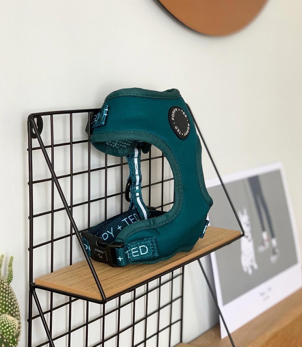 Poppy + Ted - Walk + Wear Teal Dog Harness - Nest Pets
