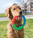 Kong Twistz Ring Dog Toy - Nest Pets