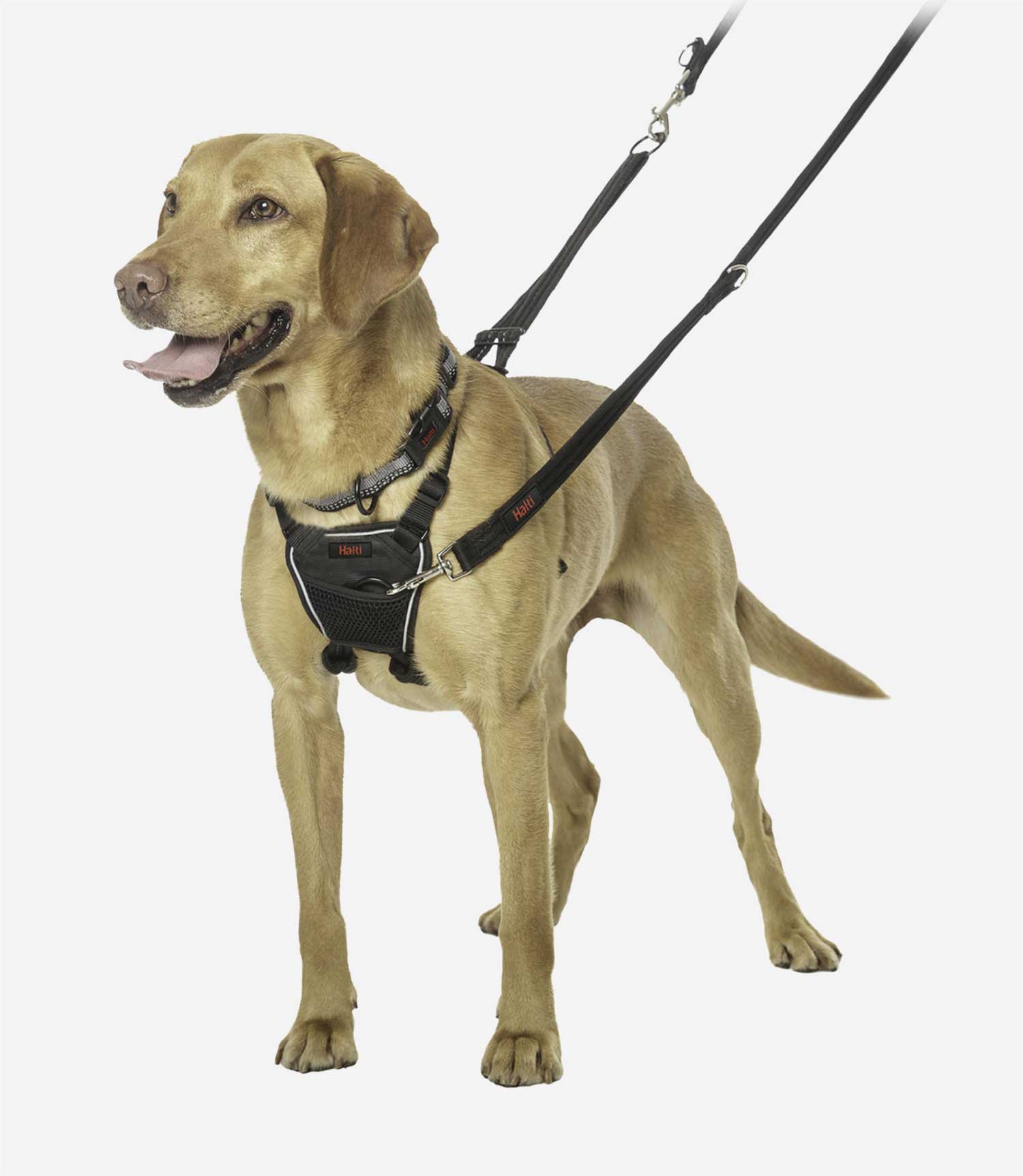 Halti No Pull Dog Harness - Nest Pets