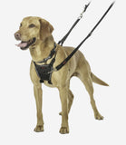 Halti No Pull Dog Harness - Nest Pets
