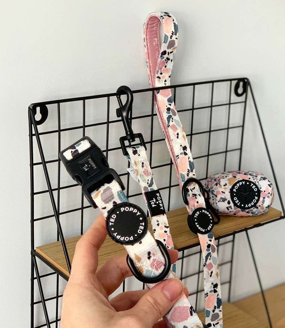 Poppy + Ted - Walk + Wear Party Pup Dog Collar - Nest Pets