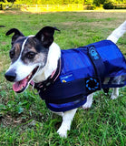 Animate Dog Cooling Coat - Nest Pets